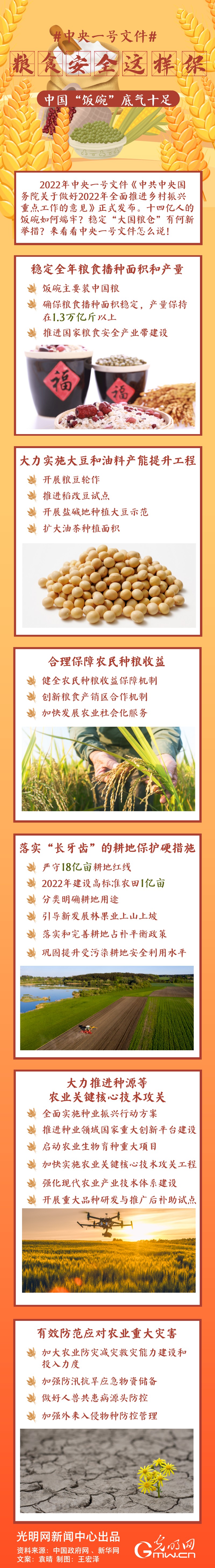 中央一號文件|糧食安全這樣保,中國“飯碗”底氣十足