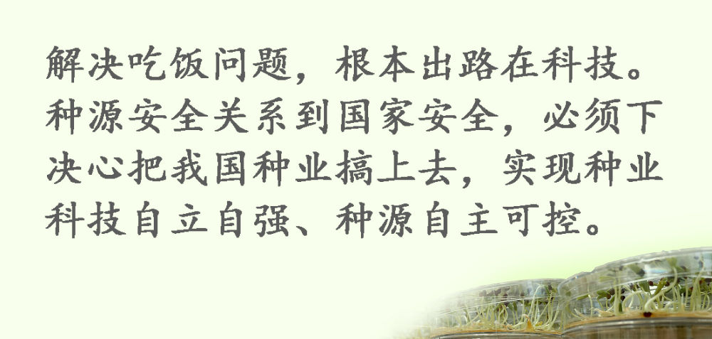 鏡觀·領(lǐng)航丨習(xí)近平:這是一件具有戰(zhàn)略意義的大事