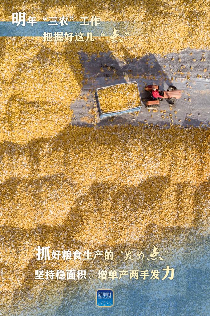 明年“三農(nóng)”工作，這幾個“點”要把握好