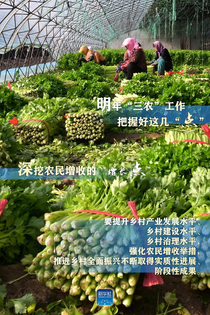 明年“三農(nóng)”工作，這幾個“點”要把握好