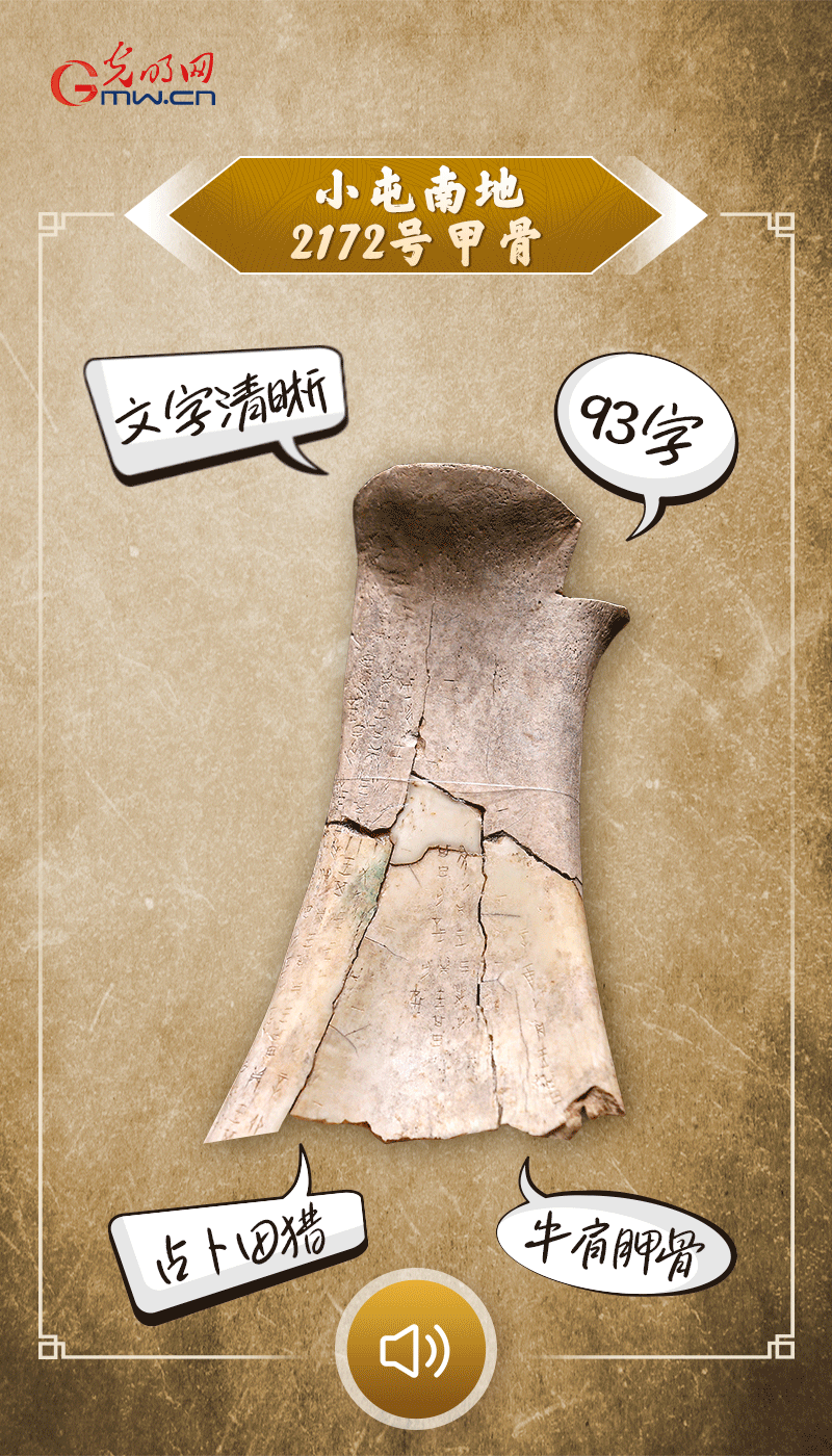 文物會說話 | 殷墟博物館新館開館啦，帶你奔赴“千年之約”