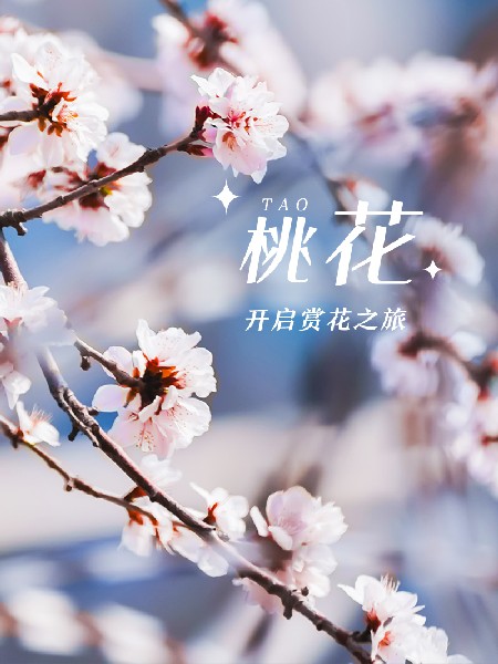 追花指南第三期！別等了 今天就去和桃花撞個(gè)滿懷