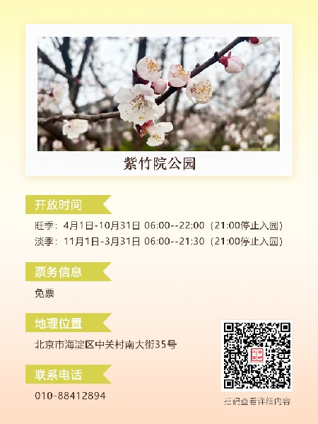 追花指南第六期！杏花雨 楊柳風 北京最美的杏花在這里