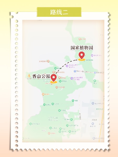 追花指南第六期！杏花雨 楊柳風 北京最美的杏花在這里