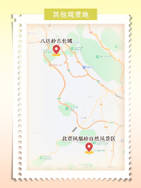 追花指南第六期！杏花雨 楊柳風 北京最美的杏花在這里