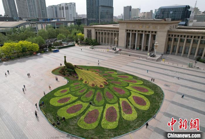 圖為航拍花壇。(無人機照片) 翟羽佳 攝