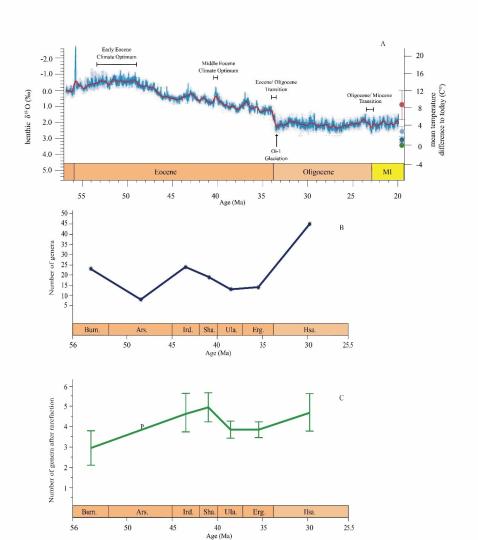 早始新世至早漸新世東亞嚙齒類屬級(jí)多樣性變化?！≈锌圃汗偶棺邓?供圖