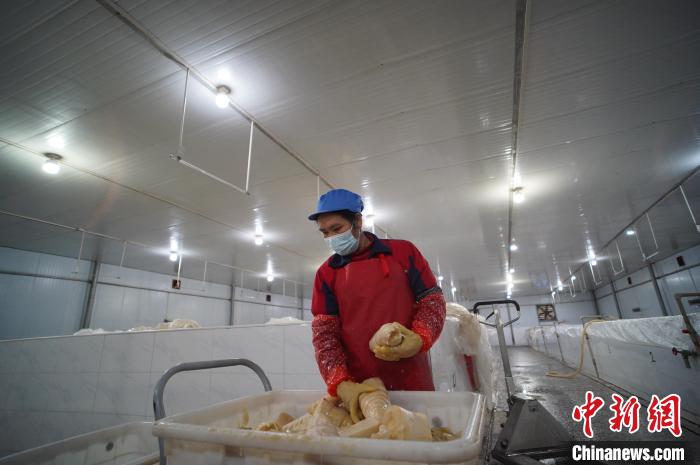 圖為一名工人正在查看酸筍腌制效果?！№f國政 攝