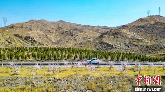 生態(tài)修復(fù)后逐漸變綠的賀蘭山石嘴山段。　石嘴山市委宣傳部供圖