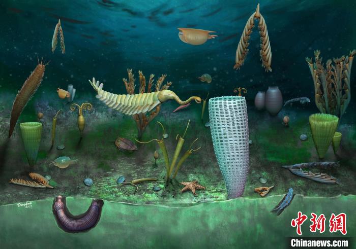 Castle Bank動物群藝術(shù)復(fù)原圖(Yang Dinghua繪制)?！∈┢樟指瘛ぷ匀?供圖