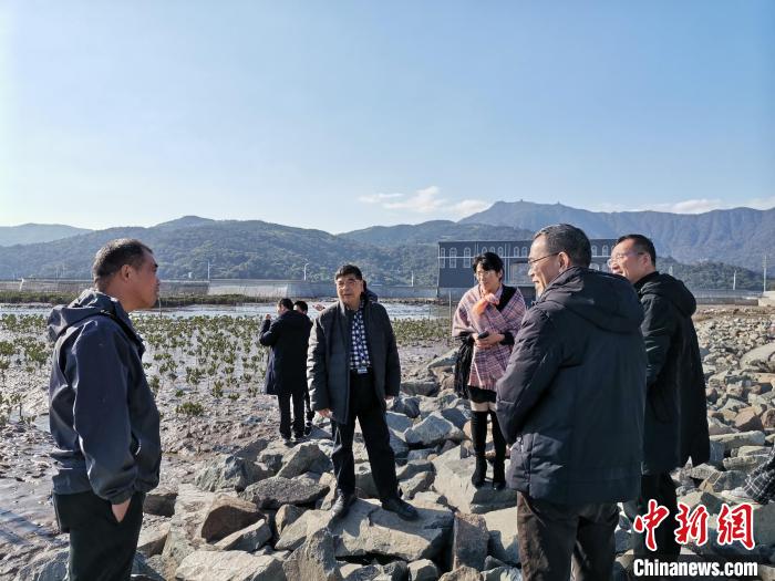 浙江海洋生態(tài)觀察：智慧大腦如何解鎖藍(lán)色發(fā)展密碼？