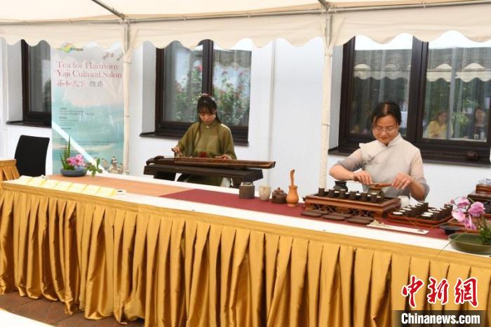 圖為余亞麗茶藝展示，王曉嬋古琴演奏 柏林中國文化中心供圖。