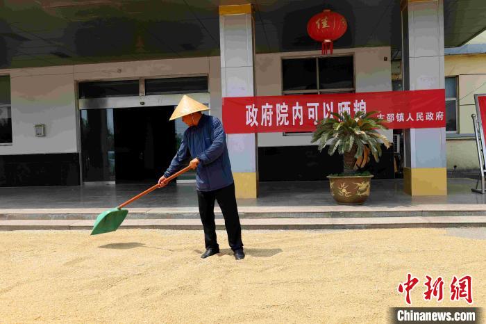 村民在棗莊市嶧城區(qū)古邵鎮(zhèn)政府大院內晾曬糧食。　胡瑾瑜 　攝