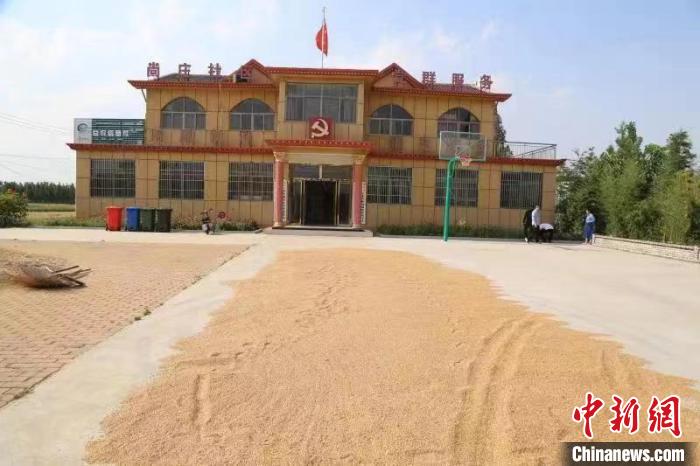 農民在邳莊鎮(zhèn)尚莊村黨群服務中心大院里曬糧?！≠Z萌 攝
