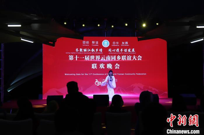 圖為第十一屆世界云南同鄉(xiāng)聯(lián)誼大會舉辦聯(lián)歡晚會。　崔永江 攝