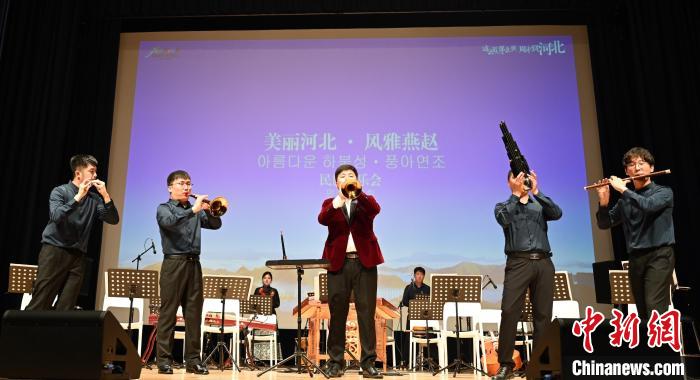 圖為音樂會現(xiàn)場?！∈谞栔袊幕行墓﹫D