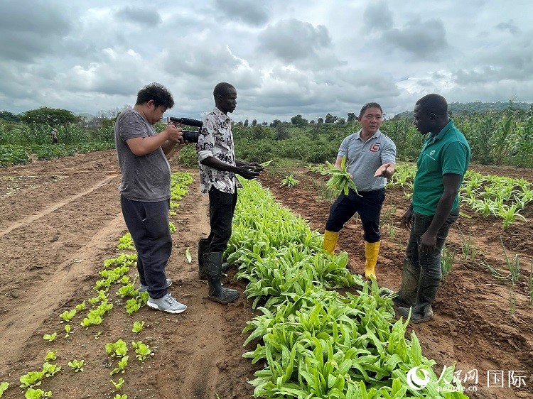 人民網(wǎng)記者走進(jìn)尼日利亞農(nóng)業(yè)技術(shù)示范中心。人民網(wǎng)記者 趙艷紅攝