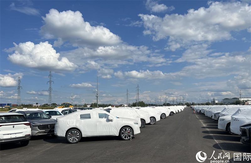 莫斯科別雷拉斯特物流中心內(nèi)的中國品牌汽車。人民網(wǎng)記者 申佳平攝