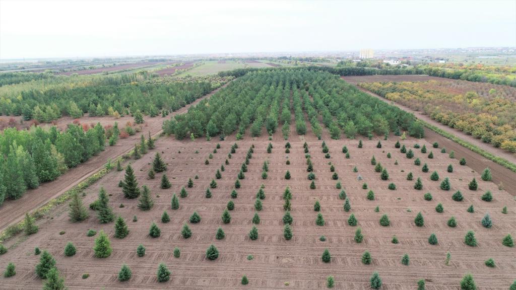 這是2023年9月11日在哈薩克斯坦首都阿斯塔納拍攝的一處植物種質(zhì)資源苗圃（無人機(jī)照片）。新華社發(fā)（法爾哈特·圖克諾夫 攝）