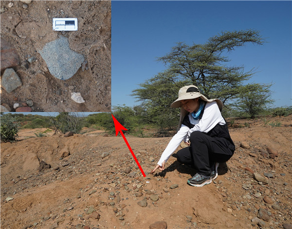 地層中的勒瓦婁哇石片。中肯聯(lián)合考古隊(duì)供圖