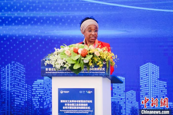 聯(lián)合國(guó)工業(yè)發(fā)展組織總干事代表兼執(zhí)行干事法圖 海達(dá)拉致辭。