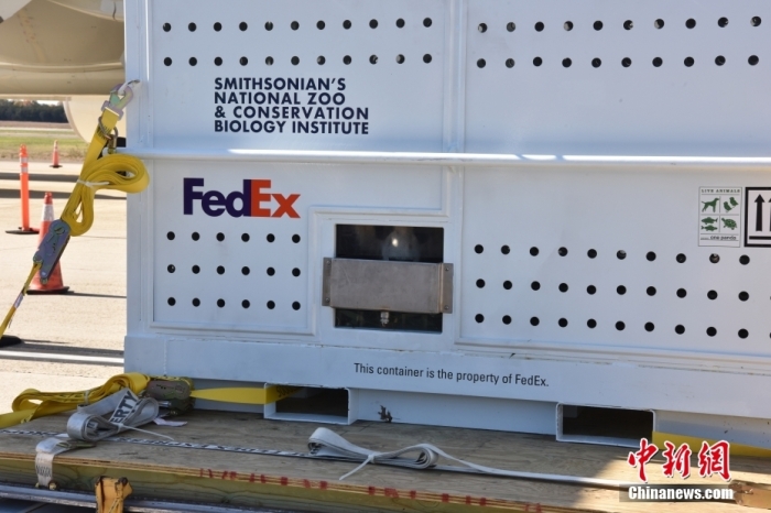 當(dāng)?shù)貢r(shí)間11月8日，美國(guó)華盛頓史密森學(xué)會(huì)國(guó)家動(dòng)物園的大熊貓“美香”“添添”和它們的幼崽“小奇跡”乘坐的專機(jī)從華盛頓杜勒斯國(guó)際機(jī)場(chǎng)起飛前往中國(guó)成都。圖為裝有大熊貓的特制“旅行箱”。<a target='_blank' href='/'><p  align=