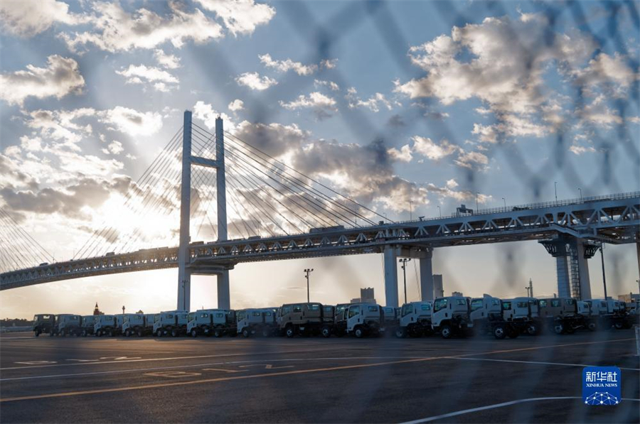 這是11月14日在日本橫濱拍攝的進(jìn)出口汽車(chē)集散場(chǎng)地。新華社記者 張笑宇 攝