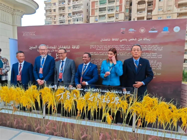 圖為現(xiàn)場嘉賓為特展啟幕。開羅中國文化中心供圖