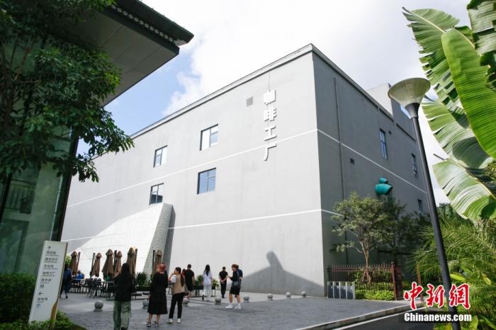 圖為采訪團一行參觀咖啡工廠。 曹淼欣 攝