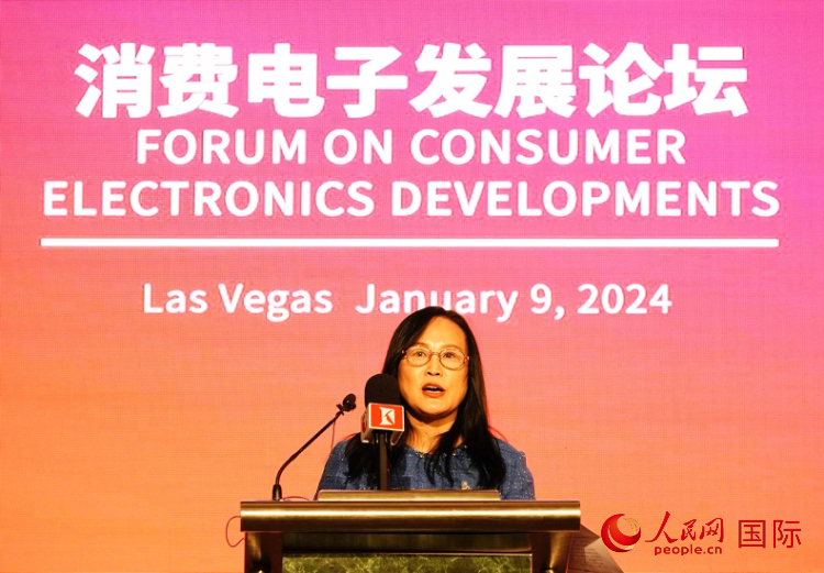 中國(guó)機(jī)電產(chǎn)品進(jìn)出口商會(huì)副會(huì)長(zhǎng)劉春致辭。人民網(wǎng)記者 鄧圩攝