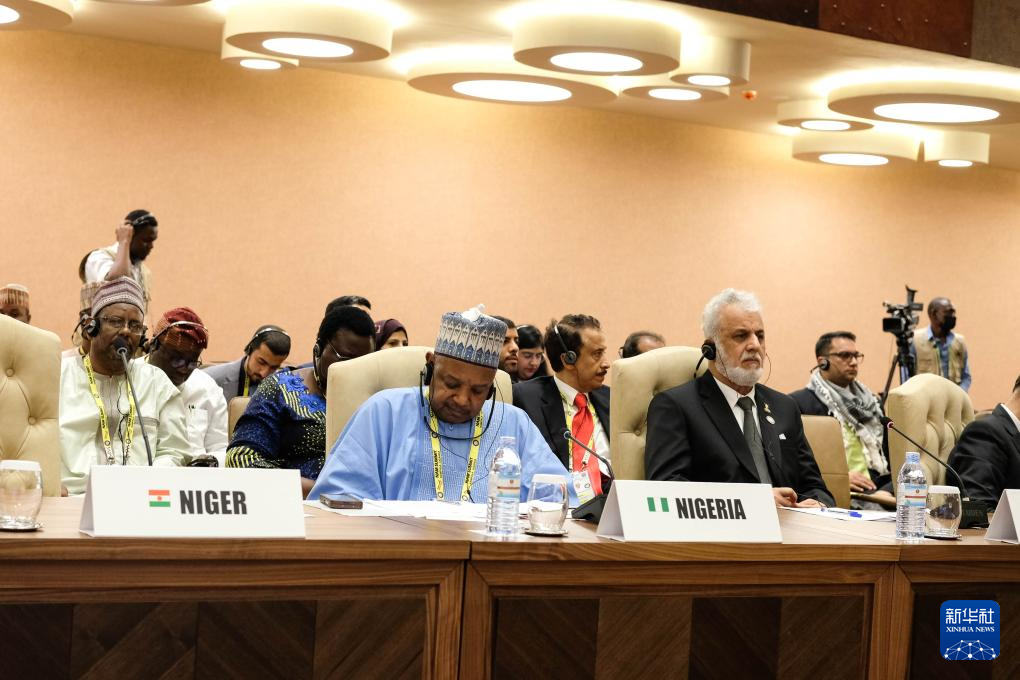 1月20日，與會代表出席在烏干達首都坎帕拉舉行的不結盟運動第19次峰會閉幕式。新華社發(fā)（阿佳拉·納瓦達攝）