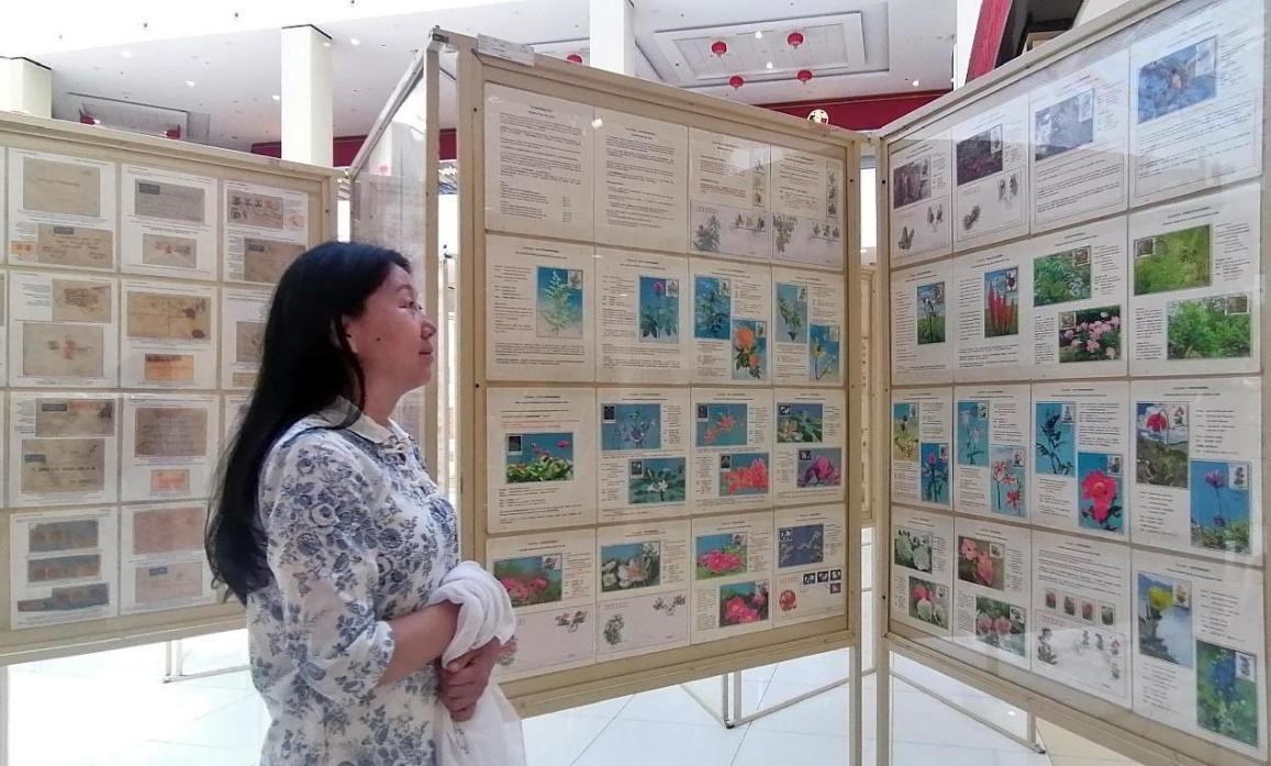 藥用植物極限片展覽場景。第七屆阿聯(lián)酋集郵展主辦方供圖