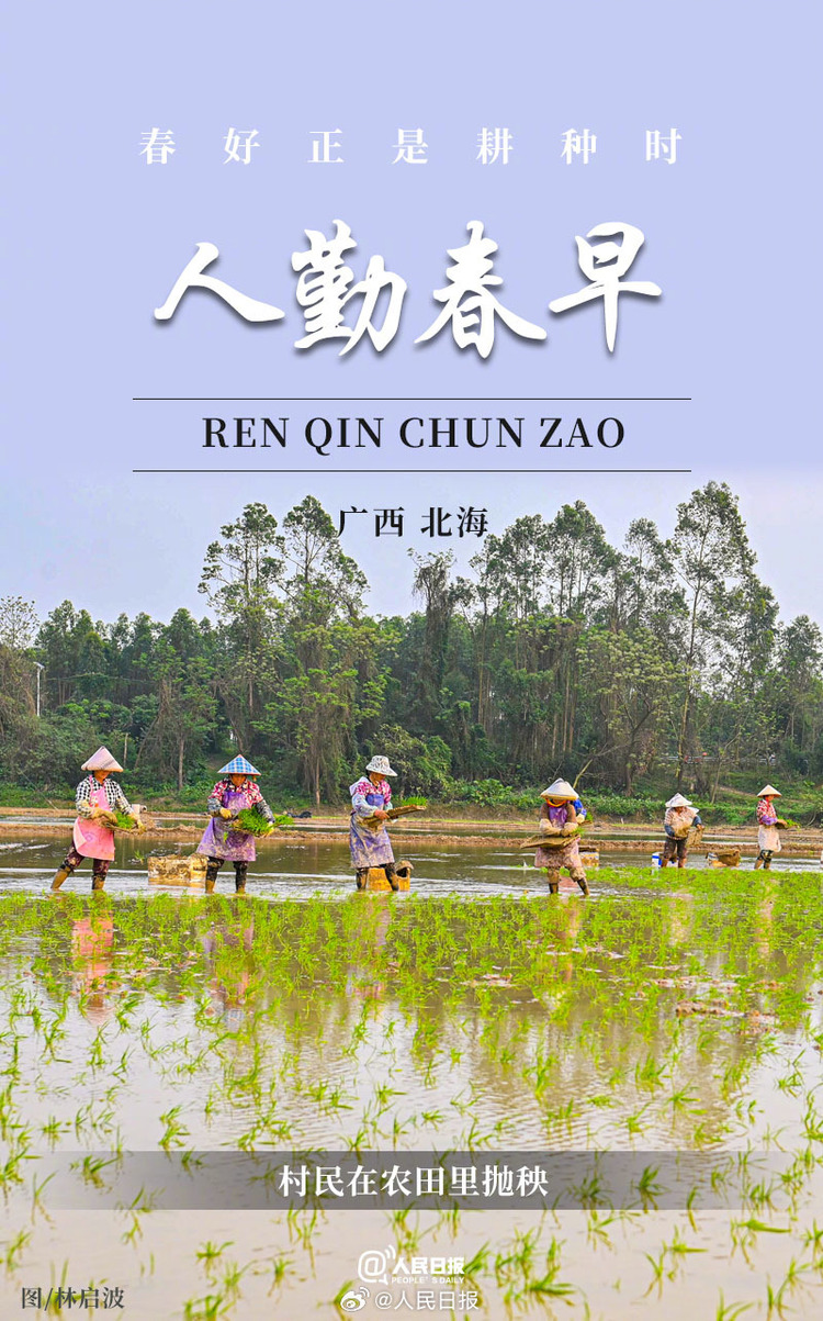 生機盎然！用課本封面打開春耕畫卷