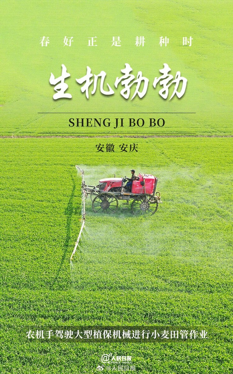 生機盎然！用課本封面打開春耕畫卷