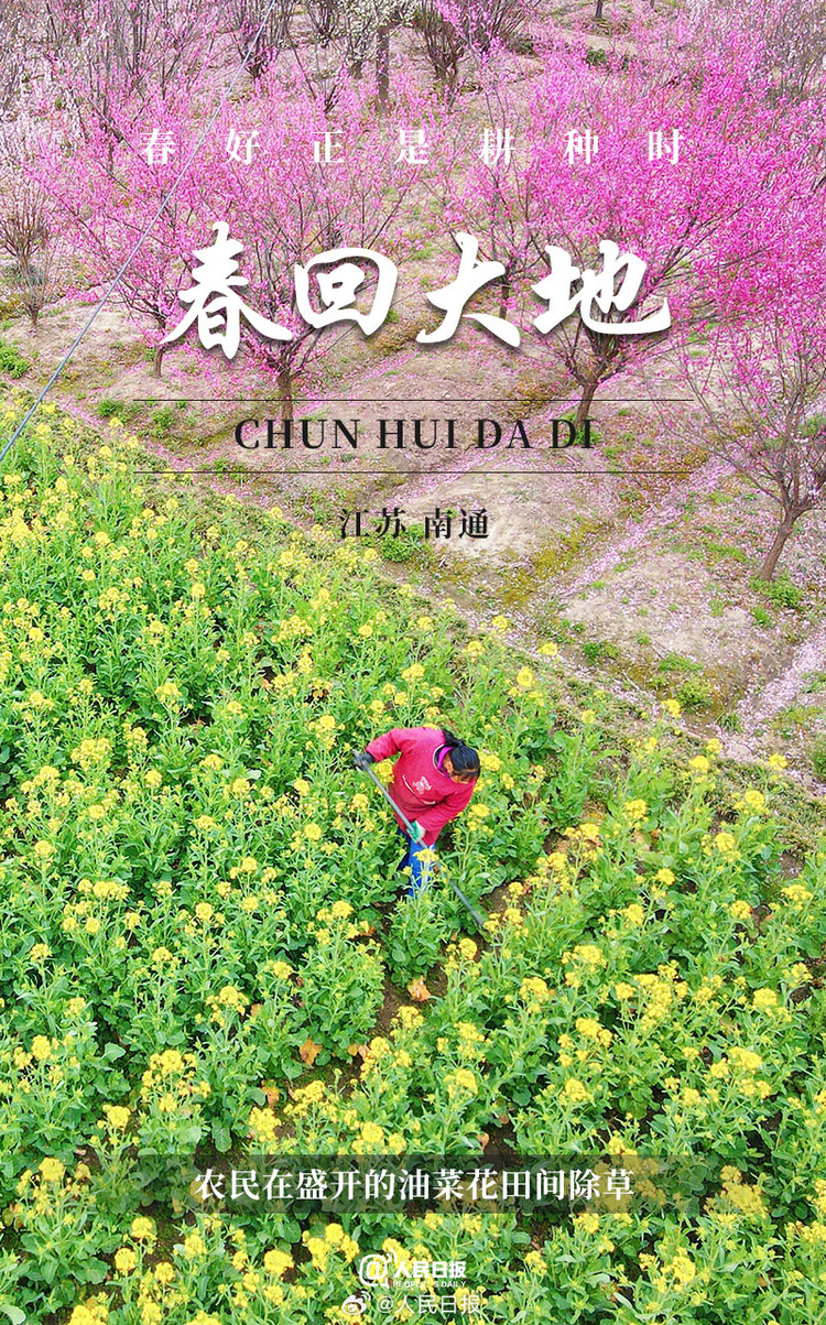 生機盎然！用課本封面打開春耕畫卷