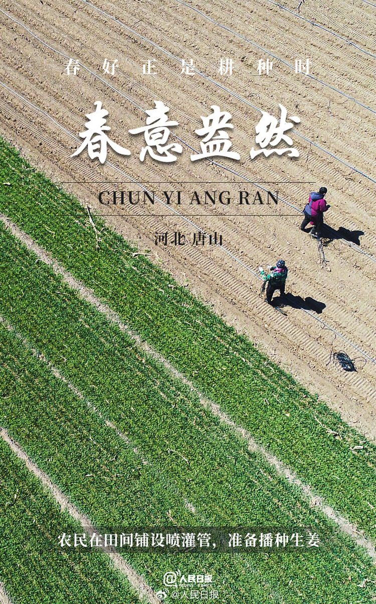 生機盎然！用課本封面打開春耕畫卷