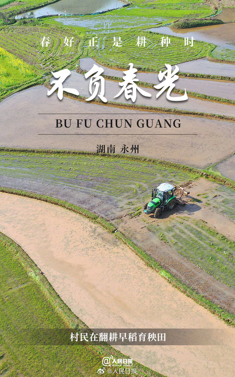 生機盎然！用課本封面打開春耕畫卷