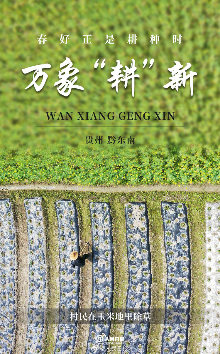 生機盎然！用課本封面打開春耕畫卷