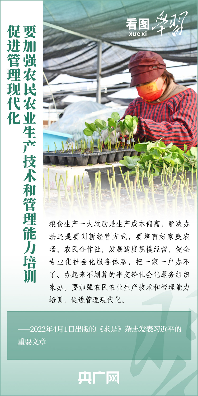 看圖學(xué)習(xí)丨推廣良田、良種、良法、良機(jī) 給農(nóng)業(yè)現(xiàn)代化插上科技的翅膀