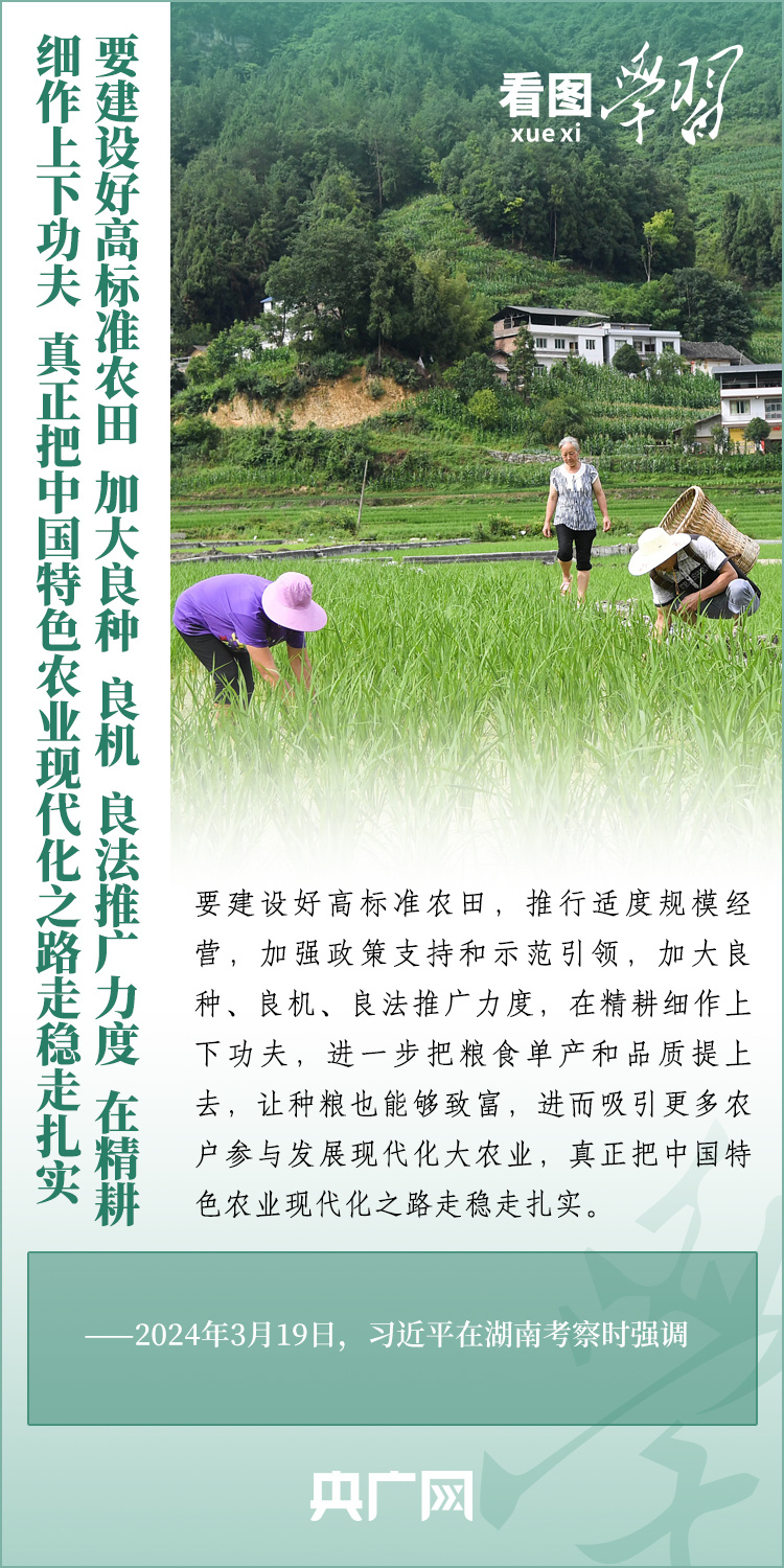 看圖學(xué)習(xí)丨推廣良田、良種、良法、良機(jī) 給農(nóng)業(yè)現(xiàn)代化插上科技的翅膀