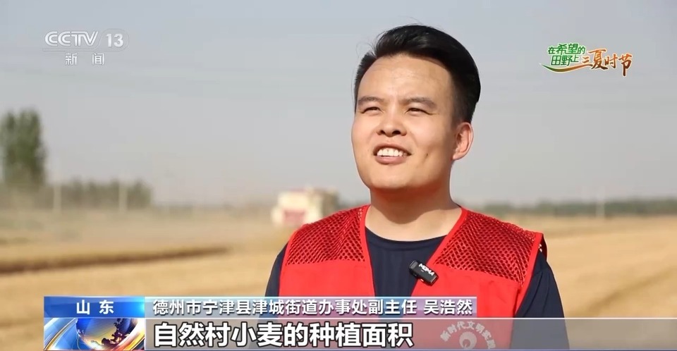 “三夏”生產思維導圖安排上了！還有政府大院等你來“曬”