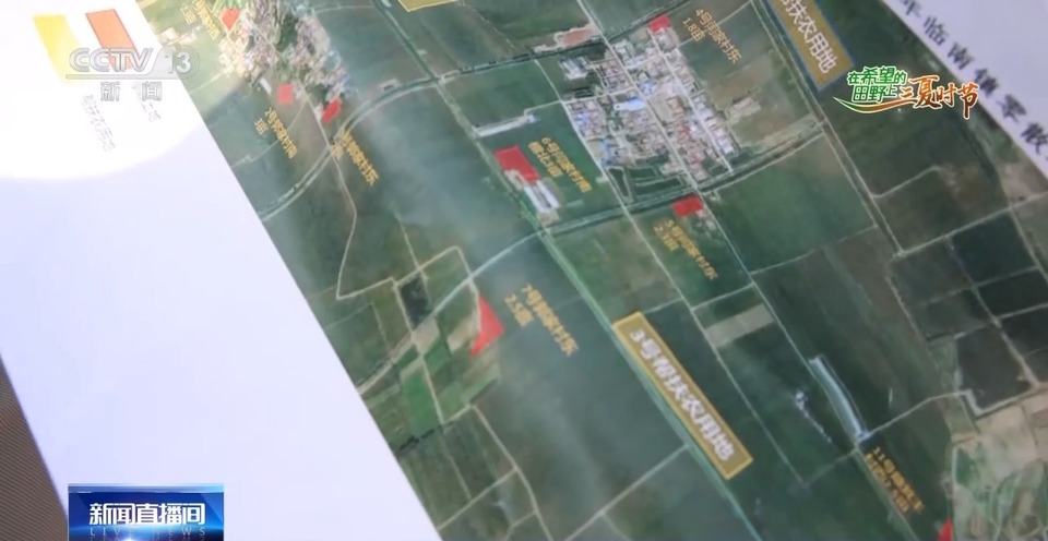 “三夏”生產思維導圖安排上了！還有政府大院等你來“曬”