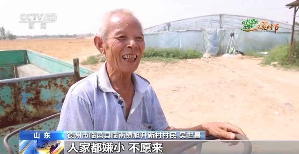 “三夏”生產思維導圖安排上了！還有政府大院等你來“曬”