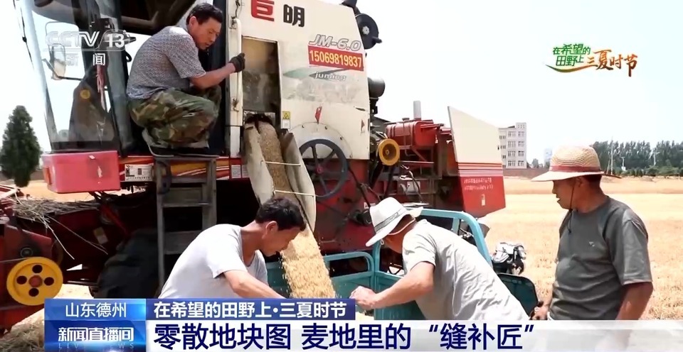 “三夏”生產思維導圖安排上了！還有政府大院等你來“曬”