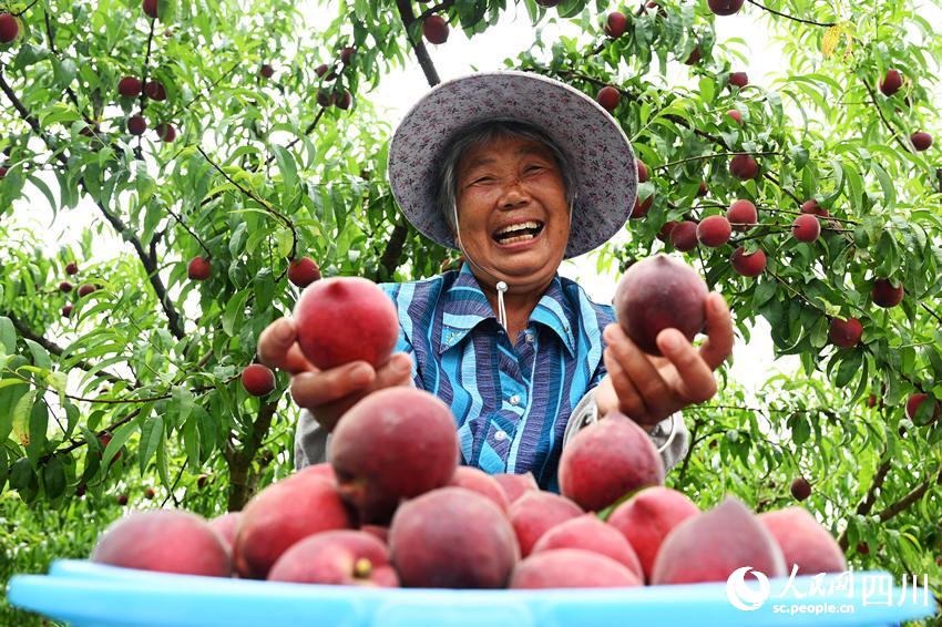 豐收的喜悅。蘭自濤攝