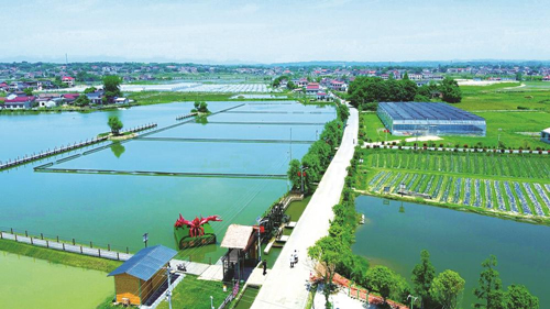 近年來(lái)，大成橋鎮(zhèn)堅(jiān)持加強(qiáng)黨對(duì)鄉(xiāng)村治理的集中統(tǒng)一領(lǐng)導(dǎo)，該鎮(zhèn)鄉(xiāng)村治理模式入選第二批全國(guó)鄉(xiāng)村治理典型案例。圖為美麗的大成橋鎮(zhèn)。（資料圖片）