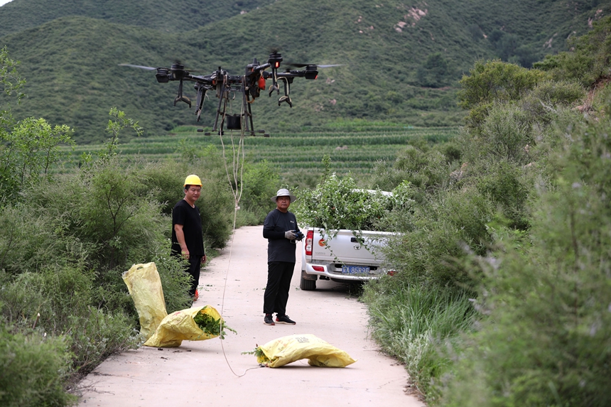 在石家莊市井陘縣吳家窯鄉(xiāng)長(zhǎng)峪村荒山造林現(xiàn)場(chǎng)，一名無(wú)人機(jī)手操控?zé)o人機(jī)運(yùn)輸樹(shù)苗。王保龍攝