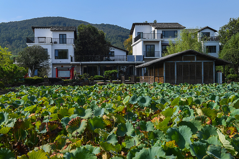 雨悅山房負(fù)責(zé)人原來在馬達(dá)加斯加打理酒店，之所以“從馬達(dá)加斯加到肥東”，源于對家鄉(xiāng)民宿前景看好。吳芳攝