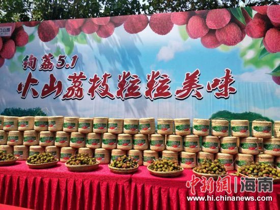 圖為活動現(xiàn)場。蘇桂除 攝