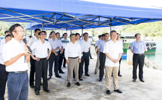 2019年6月21日上午，省長沈曉明率省政府班子成員在三亞鐵爐港調(diào)研項(xiàng)目規(guī)劃建設(shè)情況。海南日報(bào)記者 宋國強(qiáng) 攝